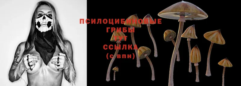 MEGA сайт  цена наркотик  Балаково  Галлюциногенные грибы MAGIC MUSHROOMS 